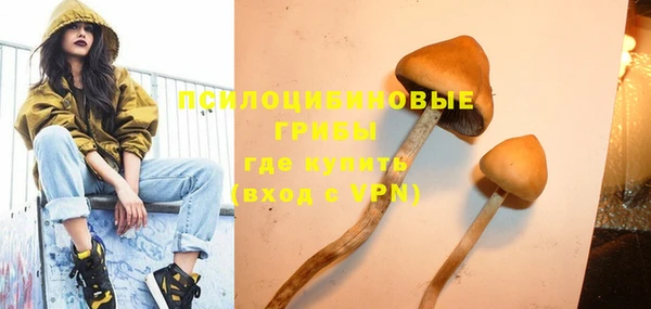 мескалин Пионерский