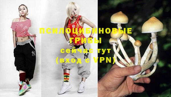 мескалин Пионерский