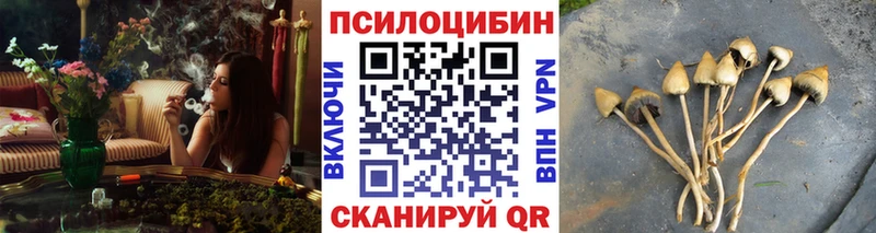 цены наркотик Южно-Сухокумск Псилоцибиновые грибы мицелий
